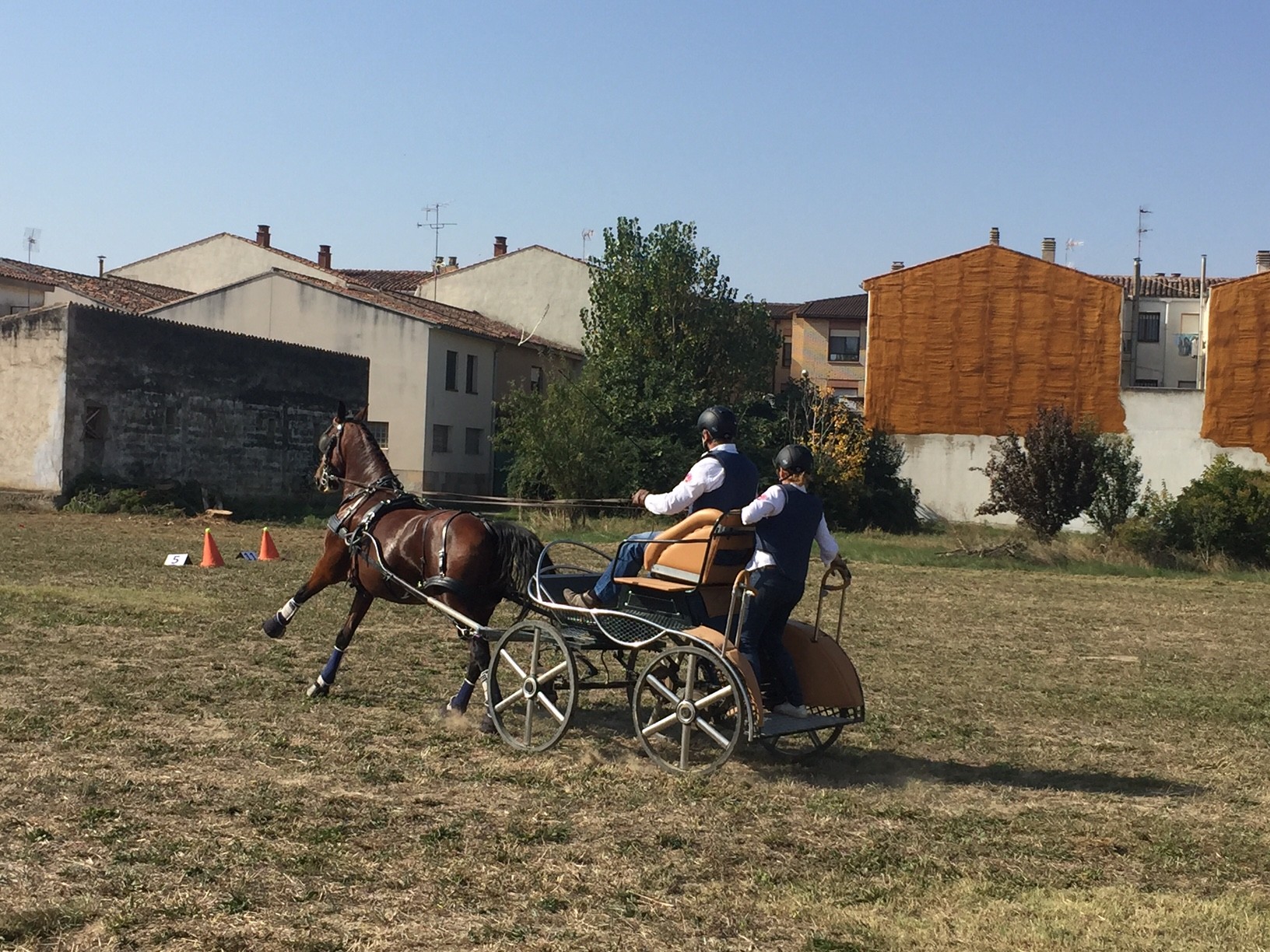 Campeonato Navarro de Enganches en Marcilla